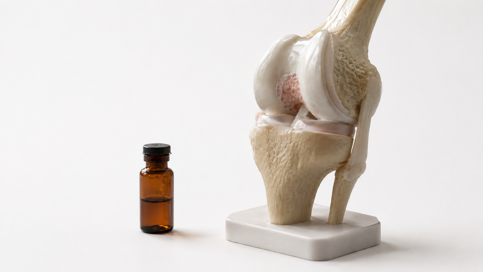 Cartilage Regeneration Gets a Serious Small-Molecule Boost