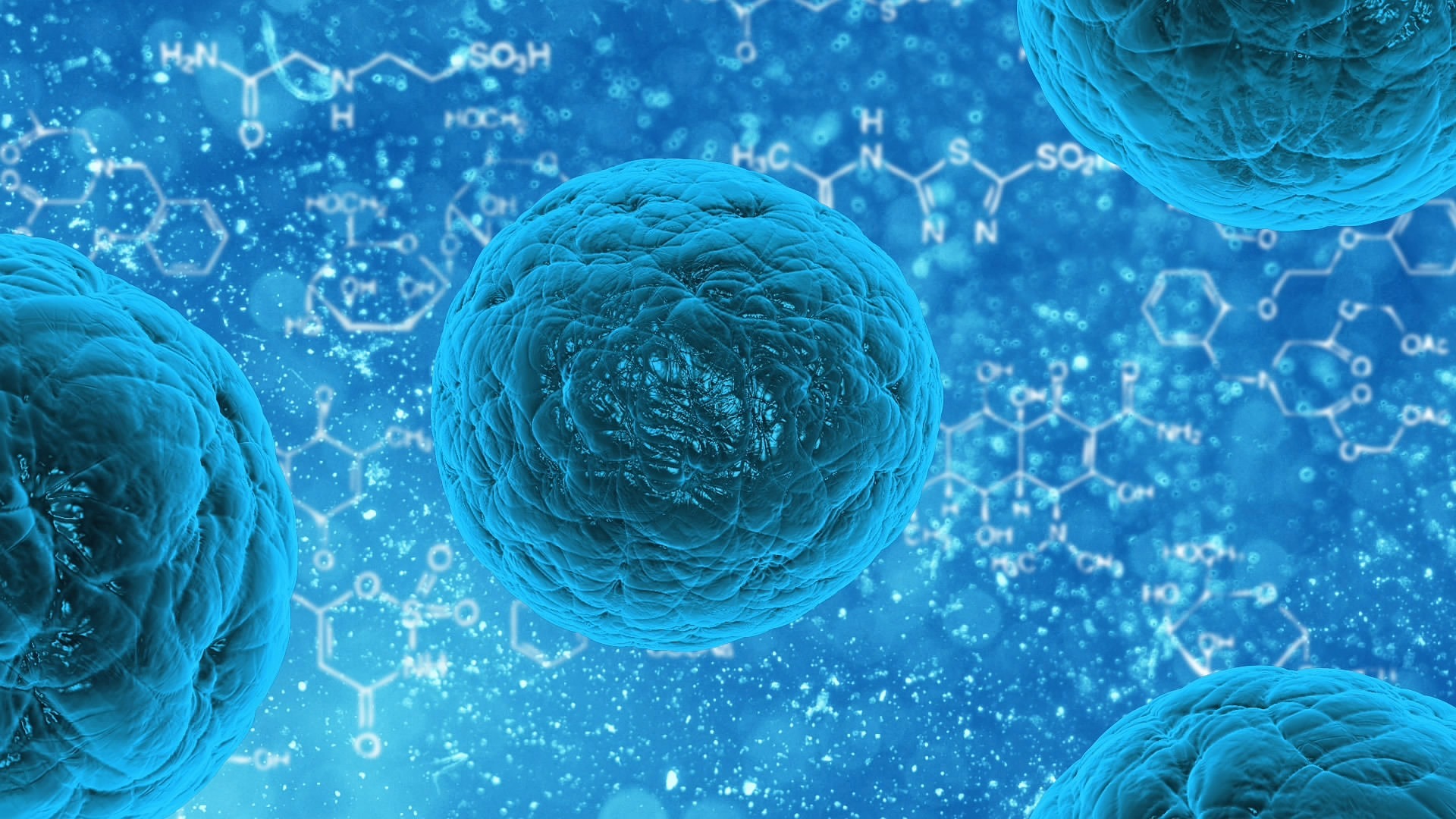 Vancomycin Powder: No Need to Rewrite the Playbook