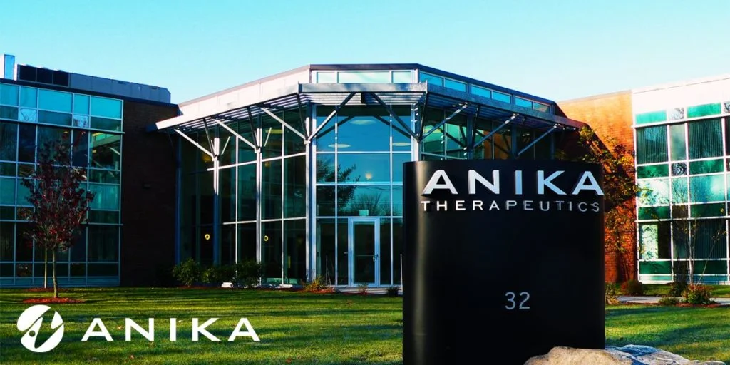 Anika: A Smaller Business Finds Its Financial Footing