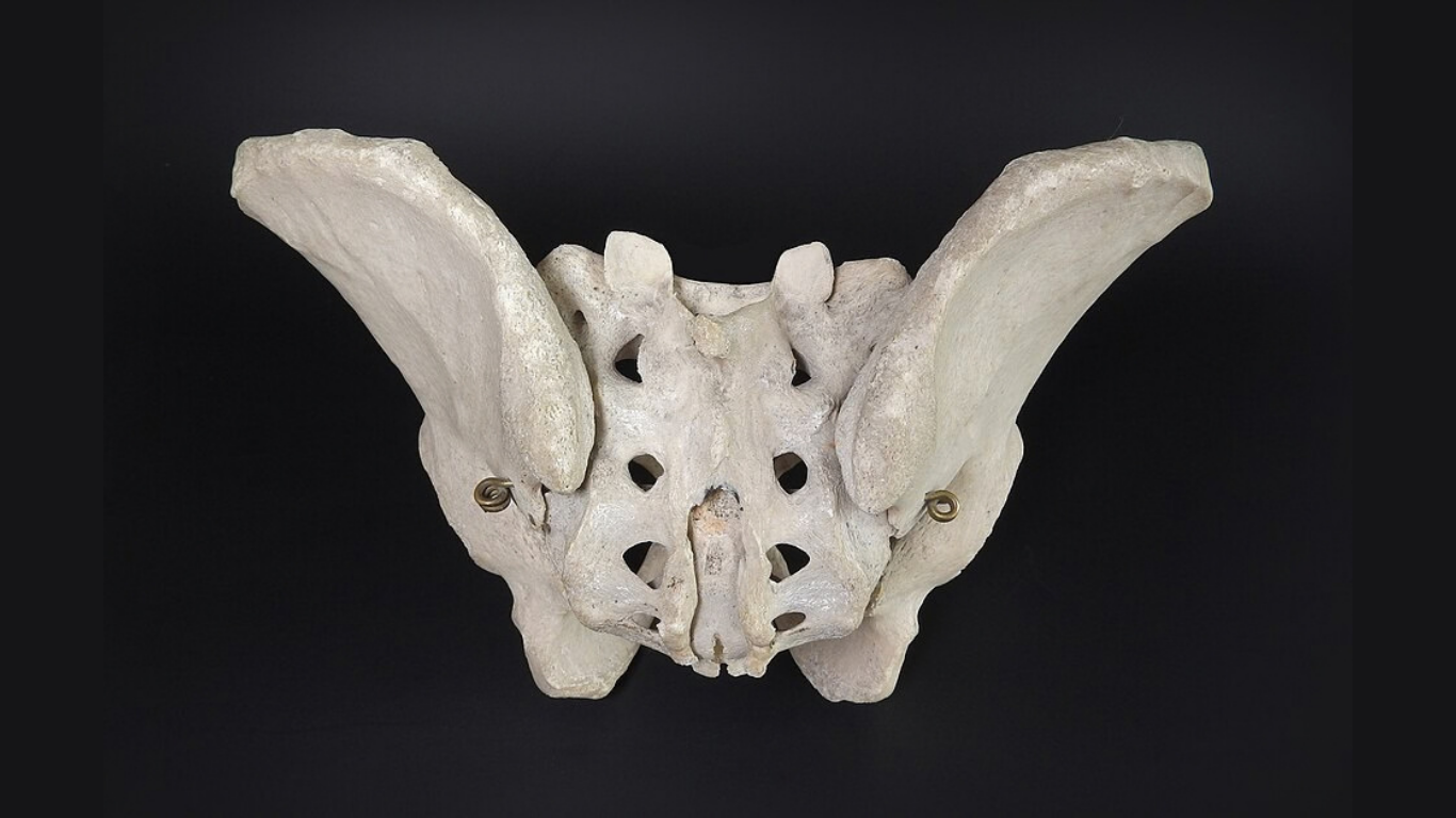 Sacral Fractures: A Survival Signal That Deserves a Second Look