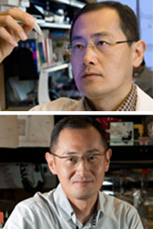 Nobel Prize Winner Runs Marathons