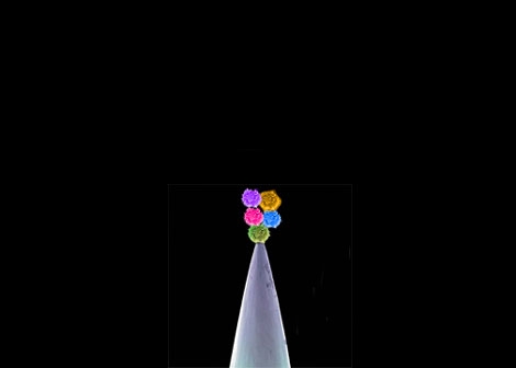 Five Stem Cell Companies in Orthopedics