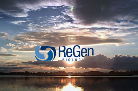 Parting the ReGen Clouds?