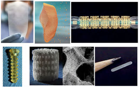 Revitalizing Regeneration Research