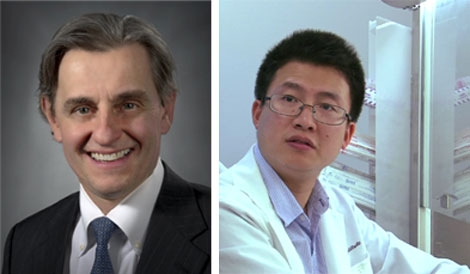 Newly-Discovered Molecule and Arthritis Treatment