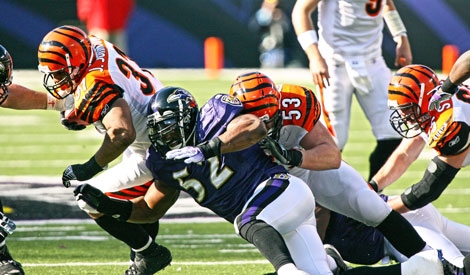 NFL Funds Concussion Research