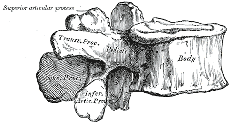 Solving Medicare's Spine Surgery Burdens