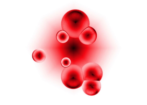 Blood Cells Reprogram into Embryonic State