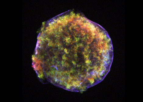 Biomet Spine Introduces Living Cell Product