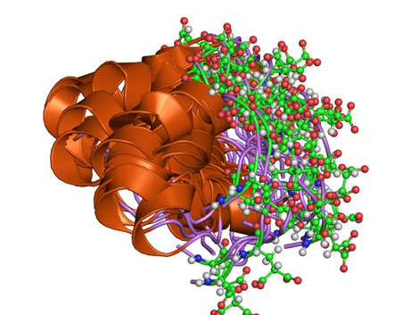 Remarkable Discoveries in Bone…Biology
