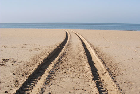 Spine Fusion's Line in the Sand