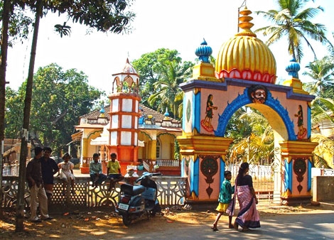 Maxx’s Freedom Knee Debuts in Goa
