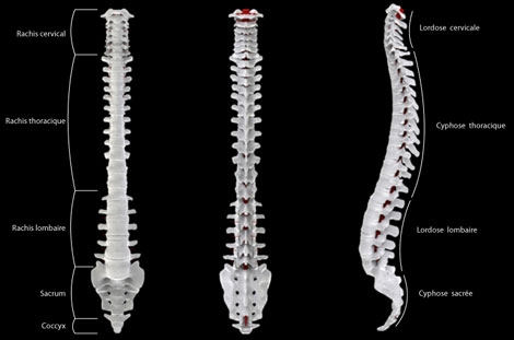 Post Synthes/DePuy Spine Merger Outlook