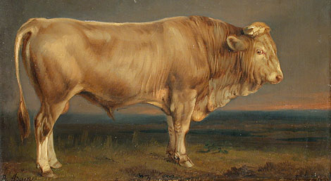 The NDA Bull Market