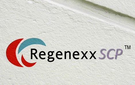 Loses This Round in Stem Cell Court Battle