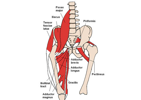 Anterior Position Urged in Hip Replacement