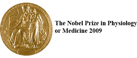 Stem Cell Nobel Prize and Other News