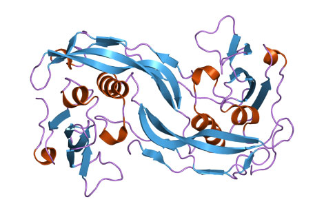 rhBMP-2 Complications New Study