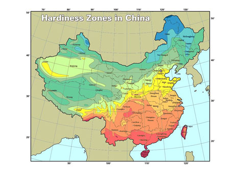 China Major Market for Ortho Technology