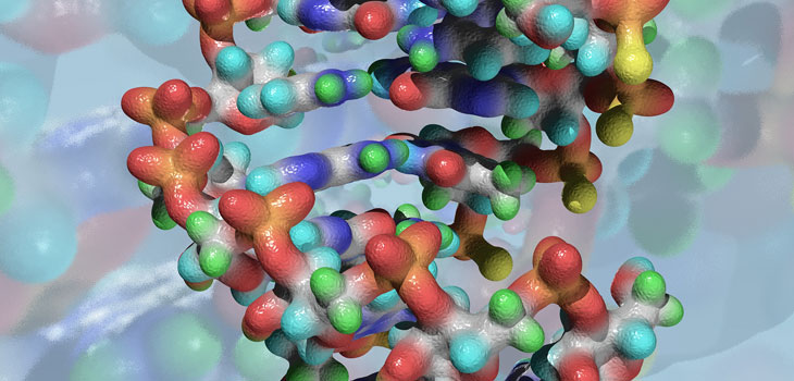 Stem Cells Plus BMP-2 Fracture Remedy