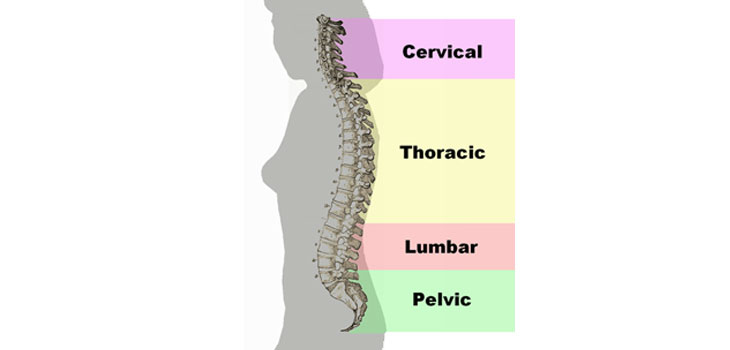 New Organization: Society for Advanced Spinal Intervention