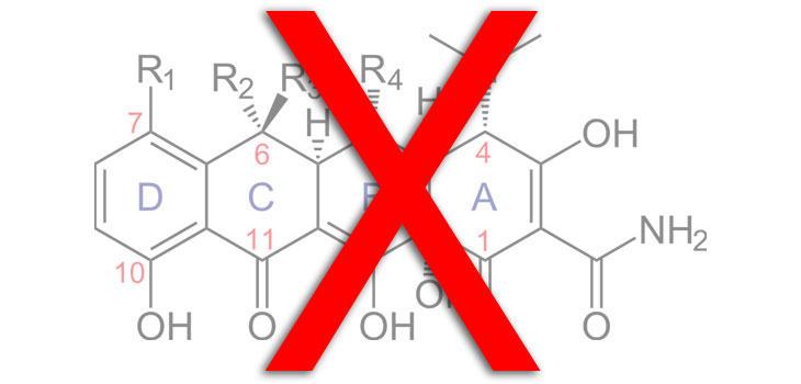 No Antibiotics for Ortho-Dental Patients?