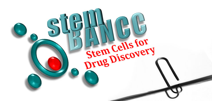 Europe-Wide Stem Cell Consortium Formed