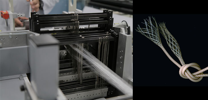 Biomedical Structures Expands, Adds VP