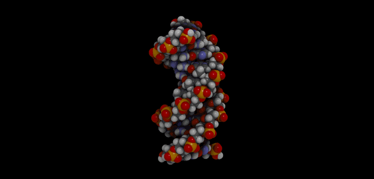 Calcium Phosphate + DNA = Better Bone Paste