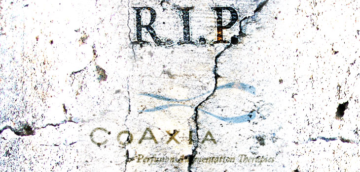 Did the FDA Kill This Company?