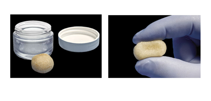 Bacterin’s DBM Putty Cleared for Spinal Fusion
