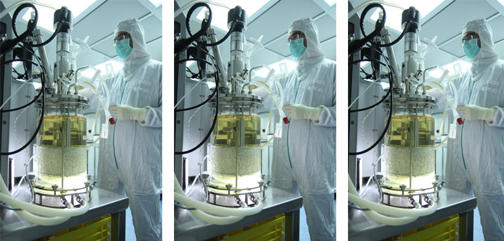 Pluristem: PLX Cells and Tendon Healing