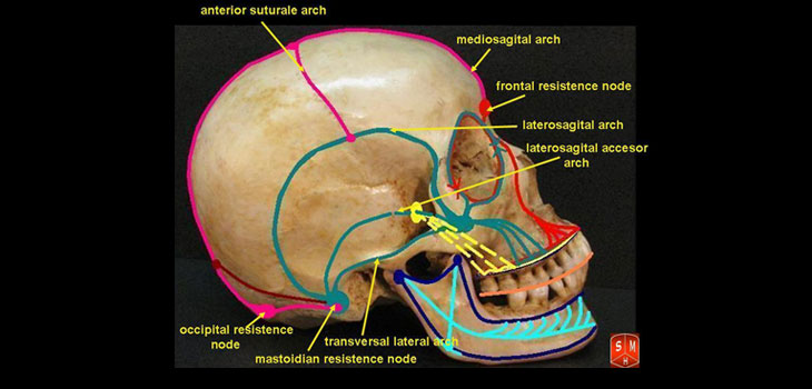 FDA Clears Regenerative Cranial Repair Product