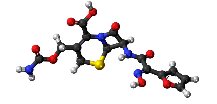 Cefuroxime Infused Bone Cement Cuts Risks