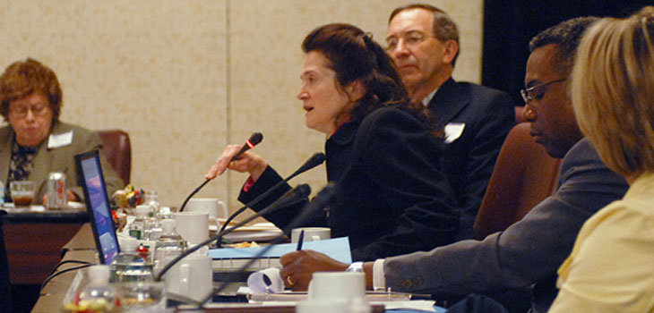 FDA Panel to Consider Reclassifying Spinal Spheres