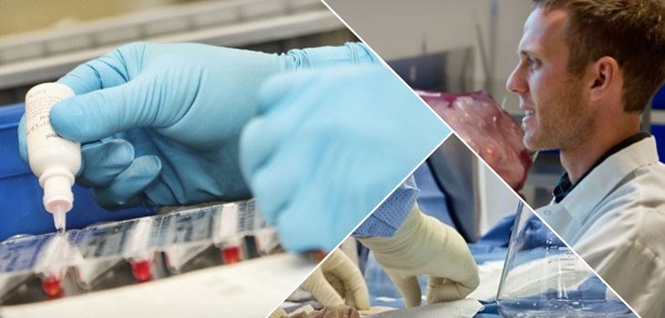 AlloSource Earns 6th Patent for Tissue Processing Method