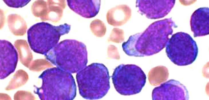Japan Eases Stem Cell Restrictions