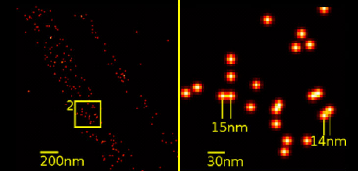 “Patch” Directs Stem Cells to Differentiate
