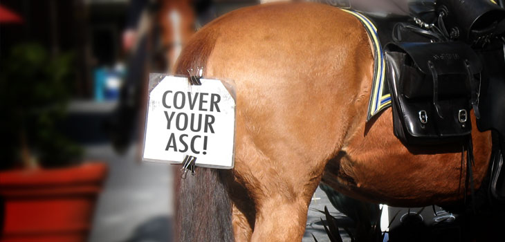 Cover Your ASC in 2014