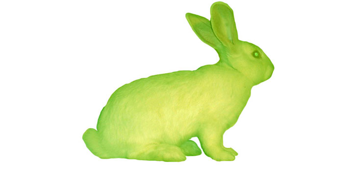 Spine IPOs: Multiplying Like Rabbits