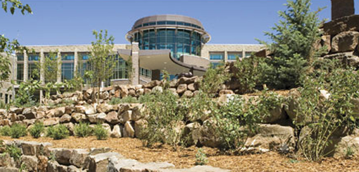 Integra LifeSciences Scores Surgical First