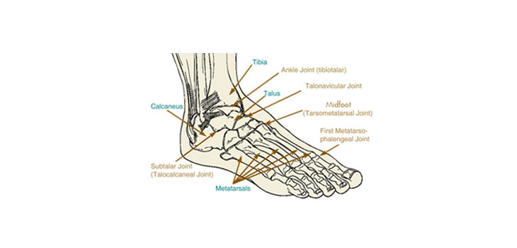 Arthrosurface Toe Motion Preservation System Cleared by FDA