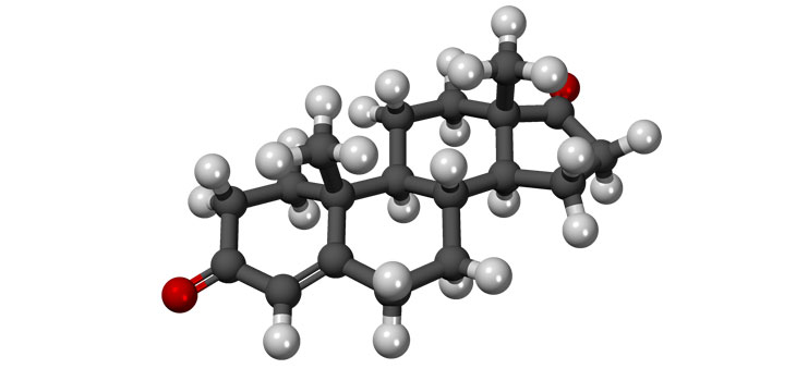 Androstenedione Chops Joint Replacement Risk