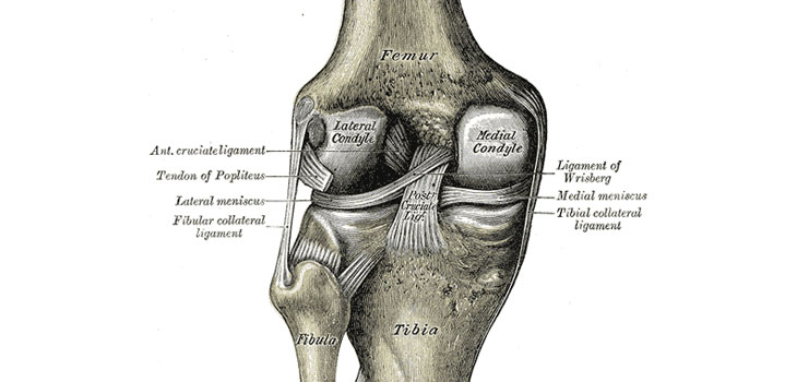 Reduce ACL Injuries, Save $275 per Athlete