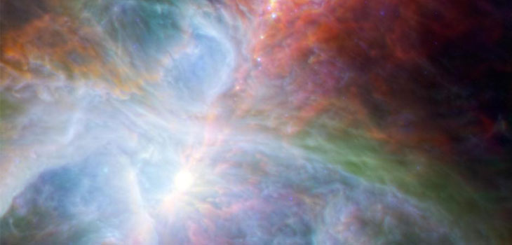 Growing Stem Cells in Space