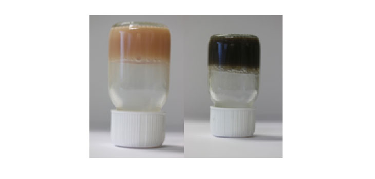Hydrogels Keep Stem Cells in Place