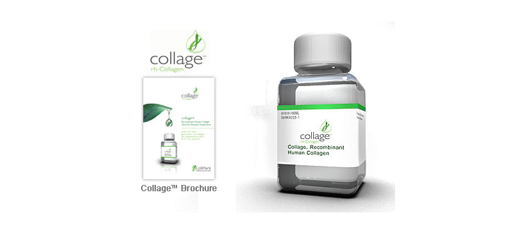 Patent Awarded for Plant-Based Collagen
