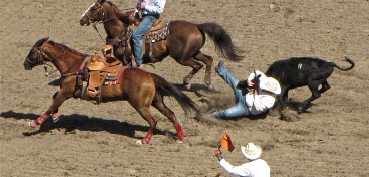 Rodeo Medics Face Toughest Challenges