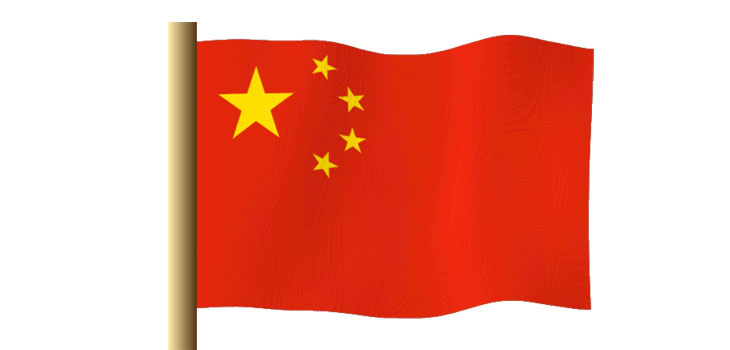 Chinese Government Tips Scales for Homegrown Orthopedics