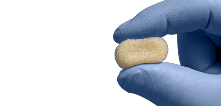 Bacterin Bone Putty Effective For Fusion